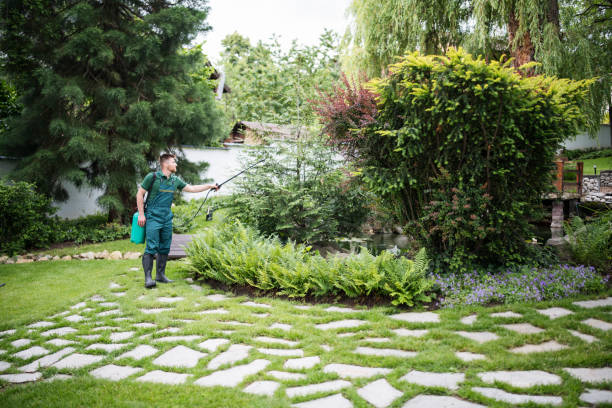 Best Best Pest Control Companies  in Lawrenceville, NJ
