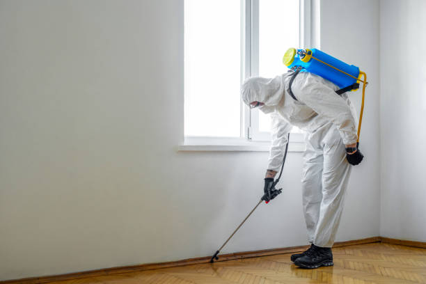 Best Bed Bug Extermination  in Lawrenceville, NJ