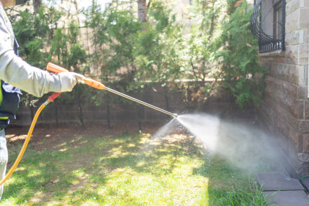 Best Bird Control  in Lawrenceville, NJ