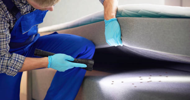 Best Residential Pest Control  in Lawrenceville, NJ