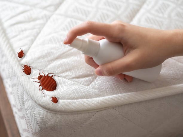 Best Mosquito Control Services  in Lawrenceville, NJ
