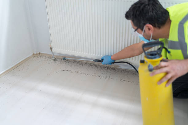 Best Emergency Pest Control  in Lawrenceville, NJ